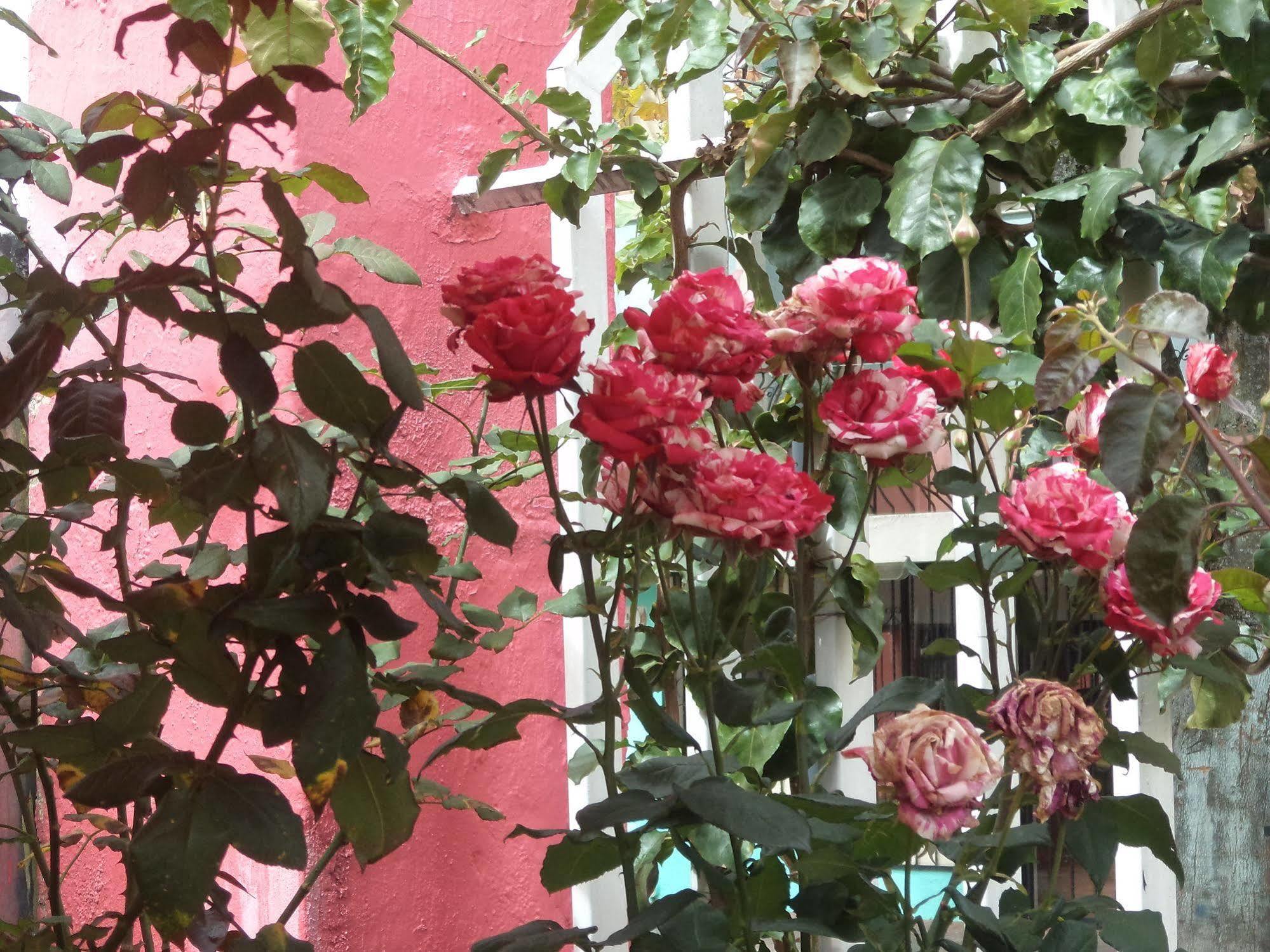 Hostal Imperial Quito Zewnętrze zdjęcie
